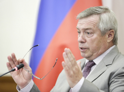 Губернатор Ростовской области прокомментировал слухи о своей отставке