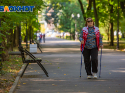 Движение пешеходов на два месяца ограничат в Ростове