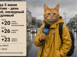 В Ростове ожидаются дожди, сильная магнитная буря и пасмурная погода