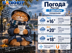 7 сентября в Ростове снова дождливо и до + 20 градусов