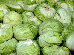 Салат Айсберг из Польши задержали и уничтожили в Ростовской области