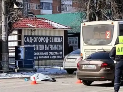 В Азове пассажирский автобус насмерть сбил пенсионерку