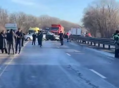 Четыре человека погибли и двое пострадали в жутком ДТП под Ростовом