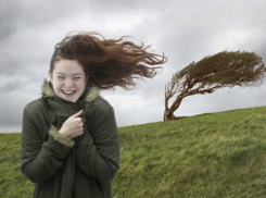 Сильный порывистый ветер не даст сжариться от майского солнышка жителям Ростова