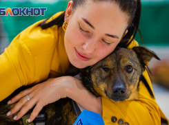 Выставка бездомных собак в Ростове довела до слез посетителей