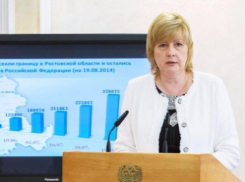 Министр труда заявила, что некоммерческие организации Ростова и области должны оказывать услуги наравне с государственными 