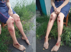 В Шахтах водитель, протащивший за автобусом зажатую дверьми пассажирку, может стать фигурантом уголовного дела