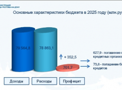 Депутаты гордумы скорректировали бюджет Ростова-на-Дону на 2025 год