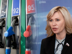 Депутат Госдумы Стенякина назвала диверсией цены на бензин в Ростовской области