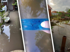 Полпреда Устинова попросили рассказать Путину о затопленном Батайске