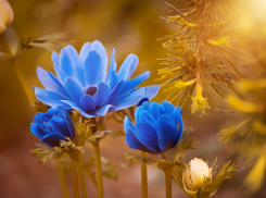 В четверг в Ростове-на-Дону будет тепло и облачно