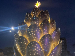 Огромная шишка на набережной Ростова наконец открыта