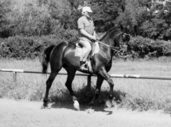 Календарь: 108 лет со дня рождения мастера верховой езды, 17-кратного чемпиона России, тренировавшего в Ростове