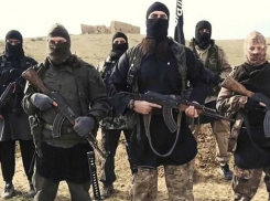 Попытка вступить в ИГИЛ четверых мужчин привела к суровому наказанию в Ростове