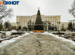 Будет ли снег на Новый год, рассказал ростовский гидрометцентр