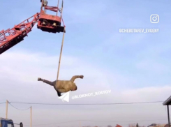 Ростовский каскадер Чеботарев повторил трюк с веревкой из фильма с Вин Дизелем 