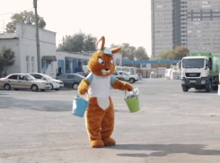 Ростовчанам рассказали, как разделять пищевые и непищевые отходы