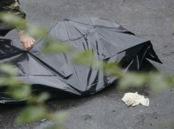 Изувеченный труп мужчины обнаружили на улице сельчане в Ростовской области