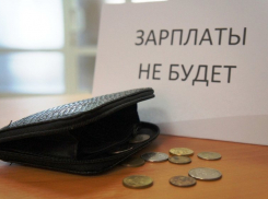 В Ростовской области долги по зарплате оказались самыми большими в России