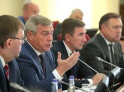 Губернатор Дона потребовал строго следить за созданными к ЧМ-2018 объектами