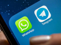 В Ростовcкой области Telegram стал самым популярным мессенджером