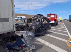 Двое взрослых и ребенок погибли в страшной аварии на трассе в Ростовской области