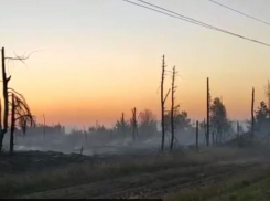 Крупный лесной пожар в Ростовской области потушили на площади в 54 га