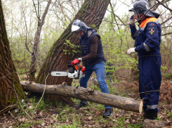 В Ростове общеобластной субботник провели в Кумженской роще