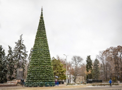 В целях экономии центр Ростова будет украшать искусственная 5-летняя елка