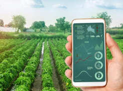 Для донских аграриев проведут семинар по цифровизации