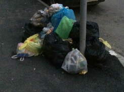 Черви в мусорных пакетах рядом с городской больницей довели до тошноты жителей Ростова