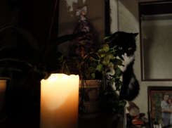 В Ростове пройдут массовые отключения света с 11 по 15 апреля