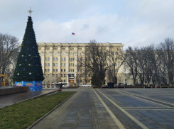 Власти Ростова заявили, что город украшен к Новому году