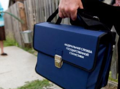 100 дней осталось до начала сельхозпереписи в Ростовской области