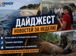 Пятна нефти в Таганрогском заливе, громкие приговоры, эвакуация хутора из-за авиабомбы: главные новости Ростовской области за неделю