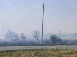 Жителей станицы в Ростовской области эвакуировали из-за лесного пожара