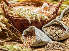 Донскую продукцию оценят во Франции