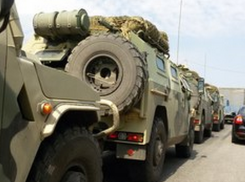 «Тигры» на федеральной трассе  взбудоражили ростовчан 