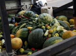 730 кг опасных для жизни овощей и фруктов продавали в центре Ростова