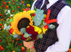 В Ростовской школе в Советском районе откроют 17 первых классов