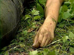 Труп сбежавшего из психбольницы пациента случайно нашел грибник в поле Ростовской области