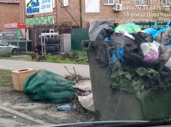 В Ростове произошла серия поджогов мусорных баков 