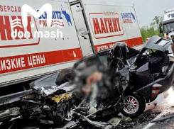 В аварии с большегрузом на трассе в Ростовской области погибли два человека
