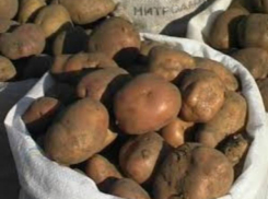 Четверо украинцев задержаны за контрабанду картофеля и томатов на Дону