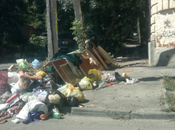 В Ростове на ряде улиц могут отказаться от почасовой уборки мусора