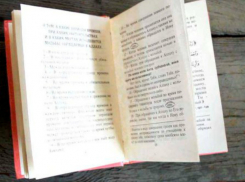 Экстремистскую книгу на теплоходе из Турции нашли в порту Ростова