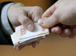 В Ростовской области арестовали обвиняемого во взяточничестве директора ветстанции