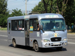 Власти Ростова при помощи ГИБДД попытались забрать маршрутные карты у «Автоколонны №1559»