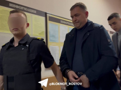 Задержанного мэра Новочеркасска оставят под стражей до 13 июля