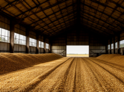 В Ростовской области экспорт зерна за год сильно снизился 
